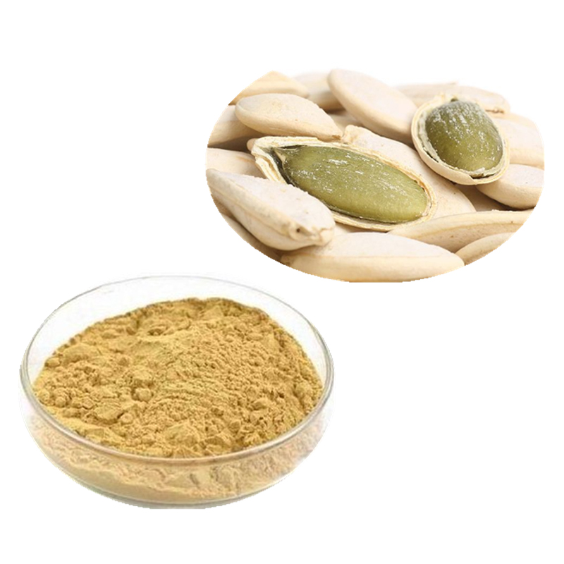 Purchase Pumpkin Seed Extract 101 in Bulk initialnaturals