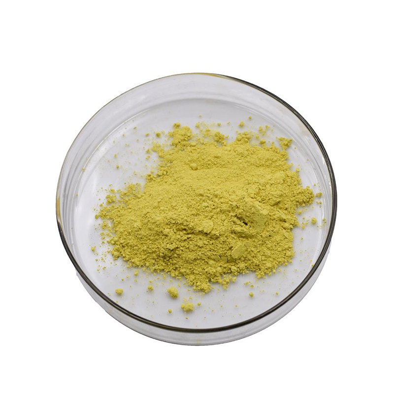 Purchase Quercetin 98% in Bulk - initialnaturals