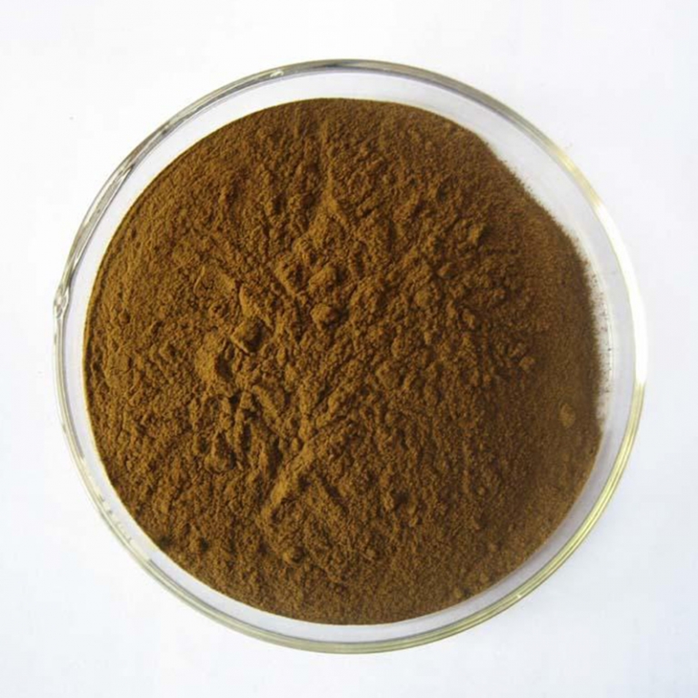 Agaricus blazei Extract 50% Polysaccharides - initialnaturals