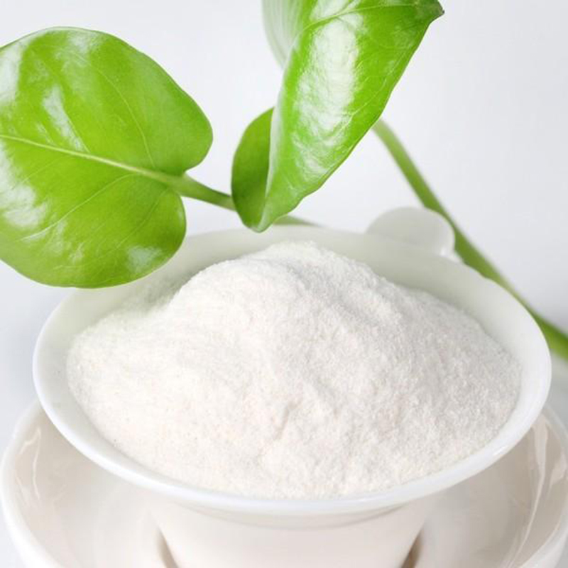 Purchase 95 Konjac powder in Bulk initialnaturals