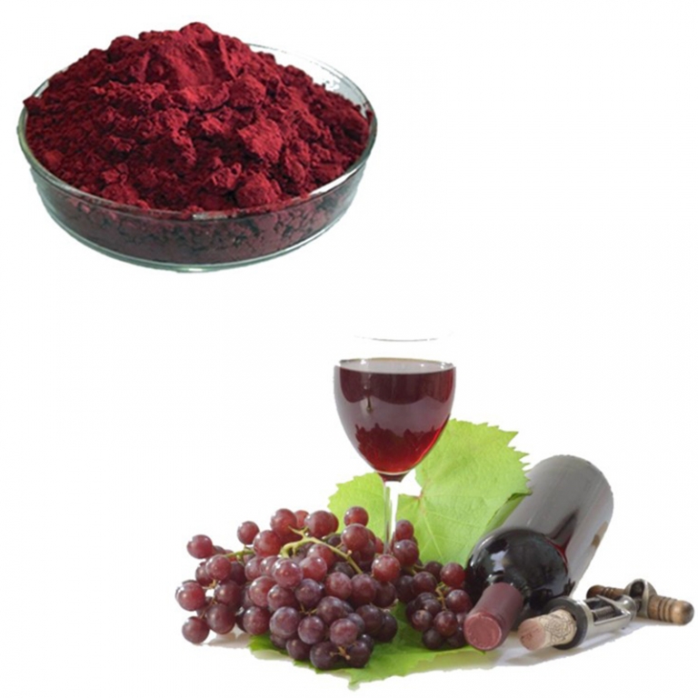 Purchase Red Wine Extract 101 in Bulk initialnaturals